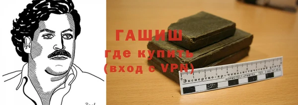 индика Абаза