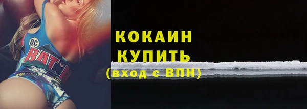 спиды Пестово