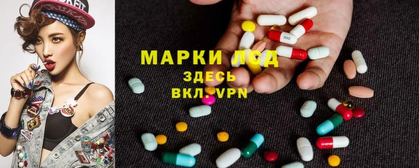 индика Абаза