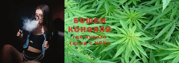 индика Абаза