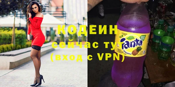 индика Абаза