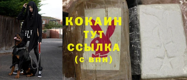 индика Абаза