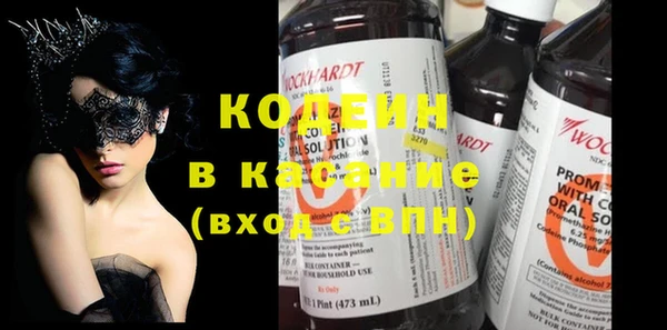 индика Абаза