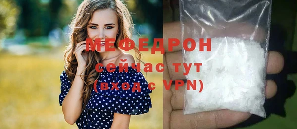 индика Абаза