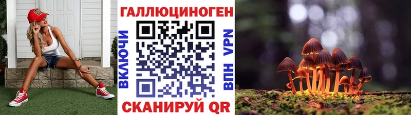 Псилоцибиновые грибы мухоморы Суздаль